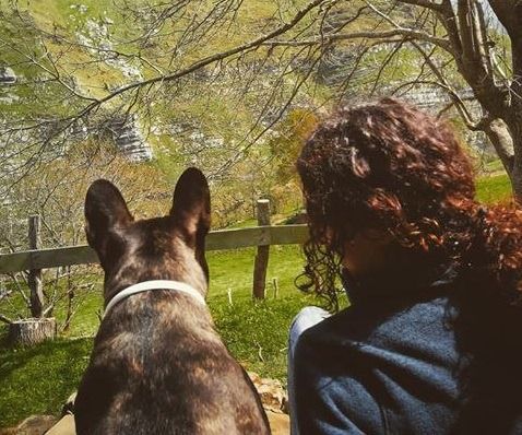 Escapada rural con perro