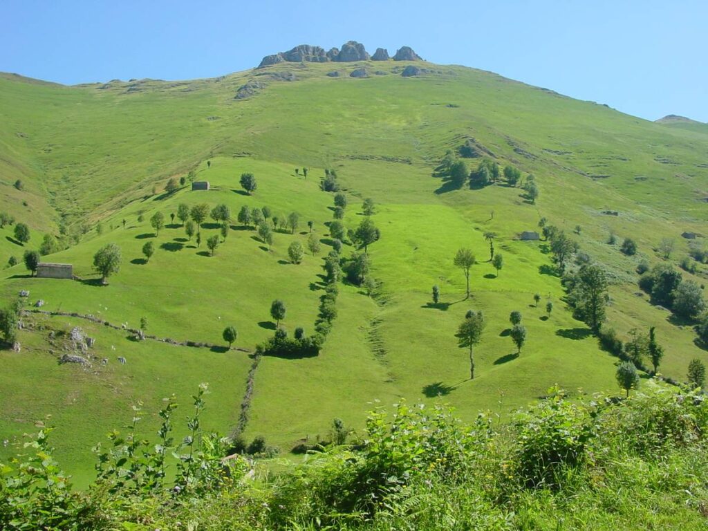 Paisaje en San Roque de Riomiera