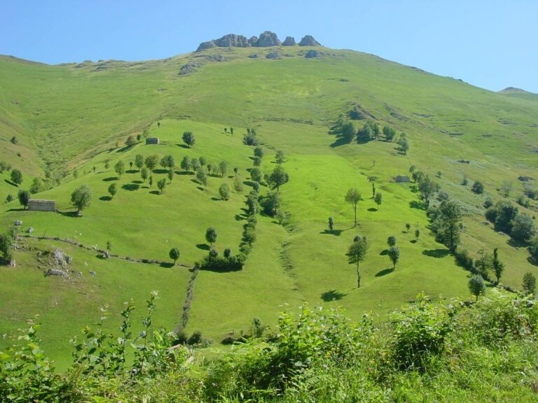 Paisaje en San Roque de Riomiera