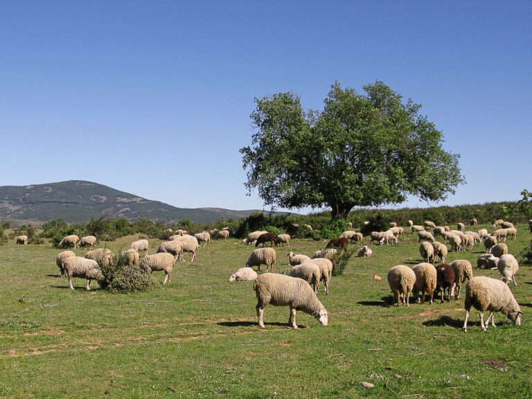 Ruta de senderismo en Sierra de Caballar