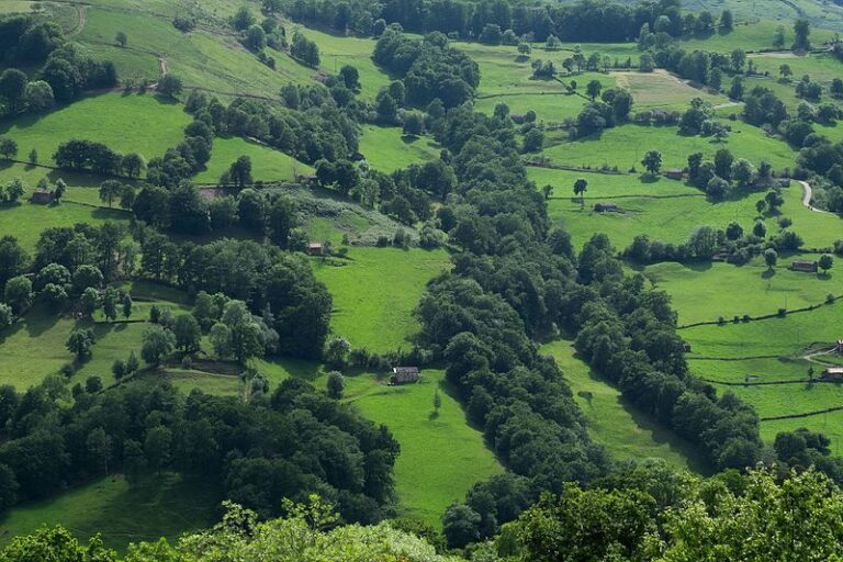 Valle del Pas