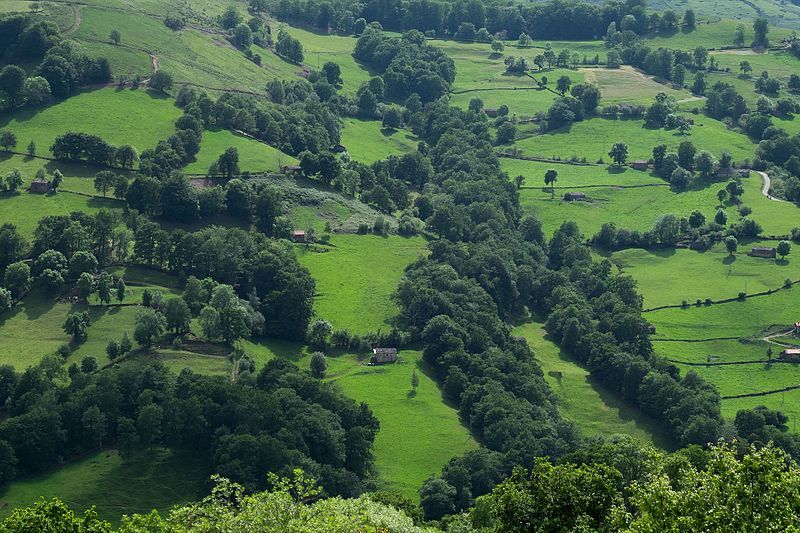 Valle del Pas