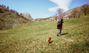 Persona caminando con mochila y perro por los Valles Pasiegos en un día soleado, rodeada de prados verdes y montañas.
