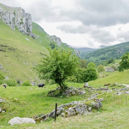 CABAÑAS CON ENCANTO_Solo un instante Photography-538